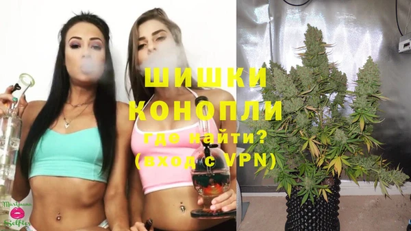 mdma Новозыбков