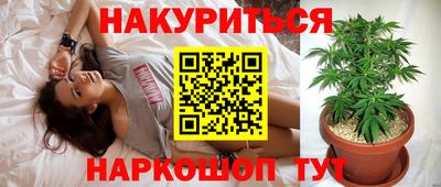 трава Бийск