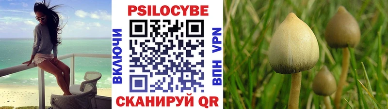наркота  Клин  Псилоцибиновые грибы прущие грибы 