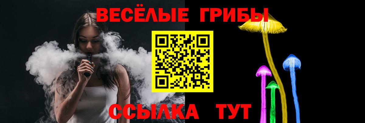 Псилоцибиновые грибы мицелий Клин
