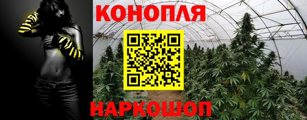 Каннабис планчик Клин